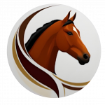 vidaysaludequina.com favicon