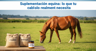 suplementación equina