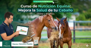 Curso de nutricion equina