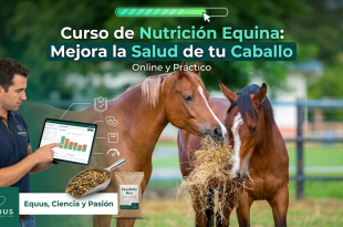 Curso de nutricion equina
