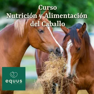 Curso Nutricion y alimentacion del caballo